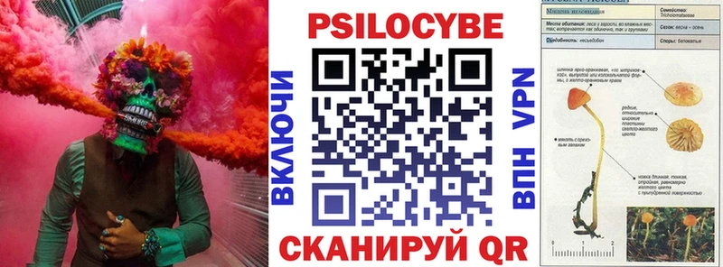 купить наркотики сайты  это телеграм  Галлюциногенные грибы GOLDEN TEACHER  Северская  blacksprut зеркало 